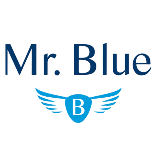 mr blue moda vende en ;arketplaces gracias a Bluco