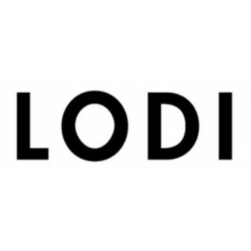 LODI vende en marketplaces gracias a Bluco