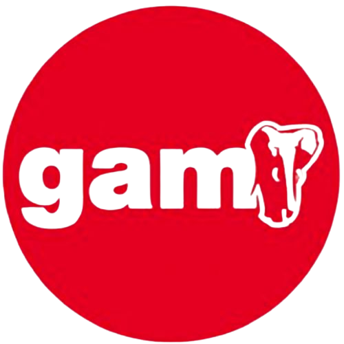 Gam vende en marketplaces gracias a Bluco